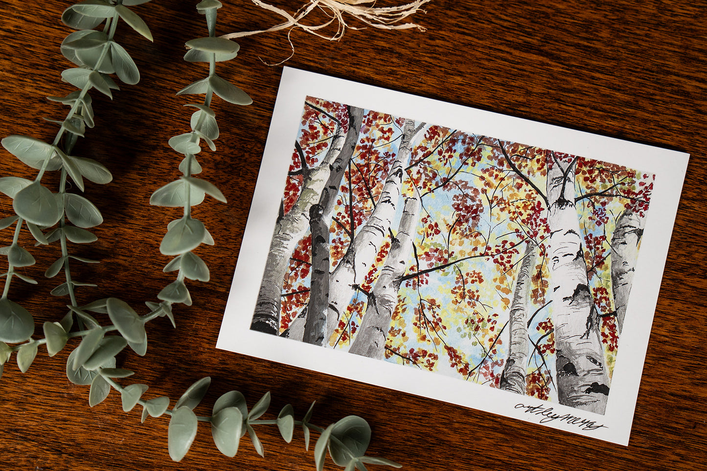 "Through the Birches" Fine Art Print