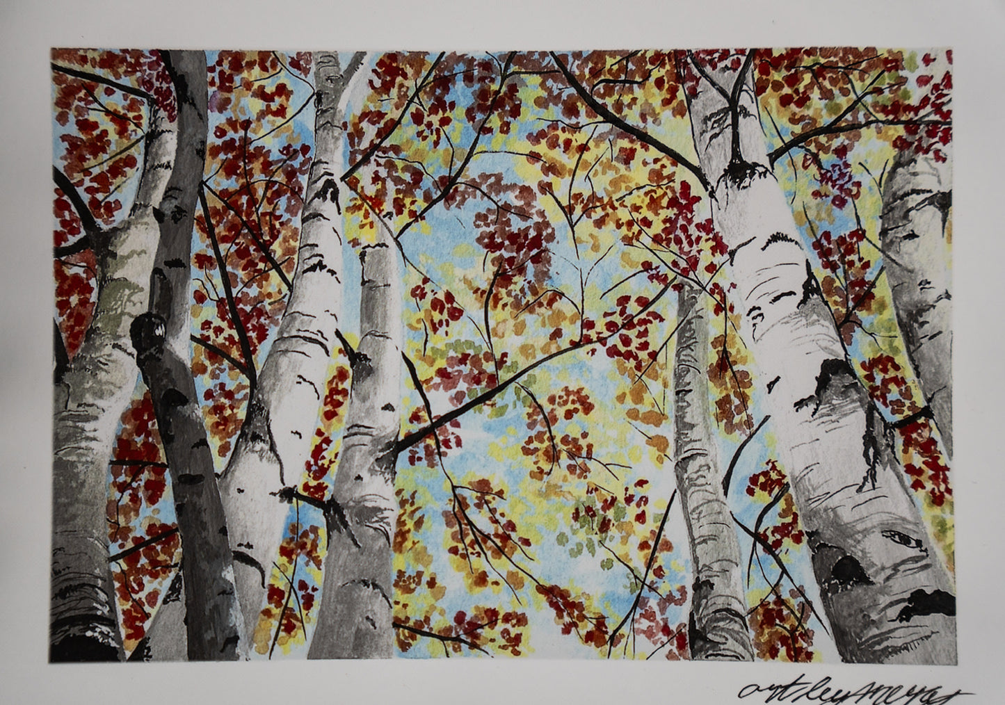 "Through the Birches" Fine Art Print